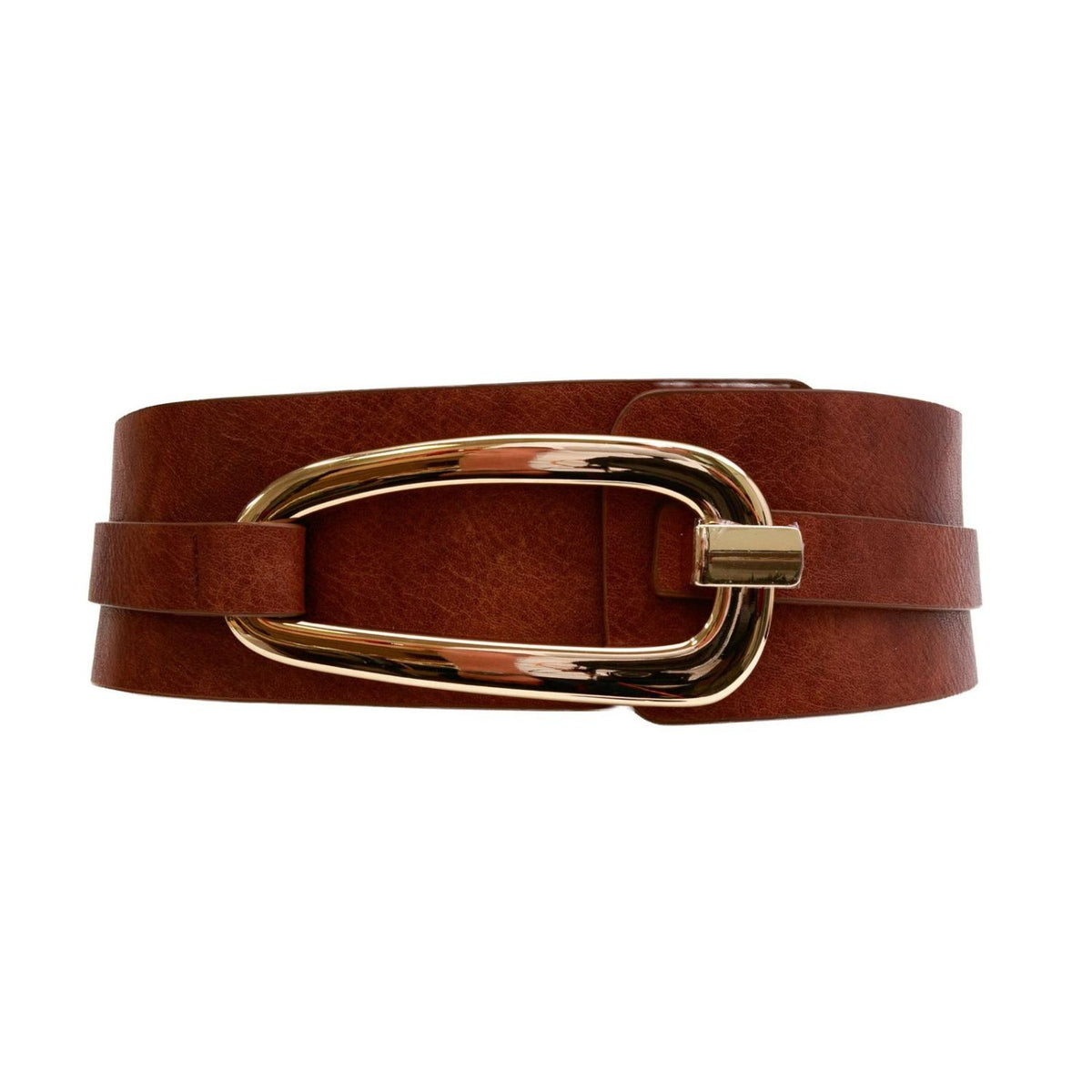 Wide Belt With Gold Buckle-BT281-AlexaKoi