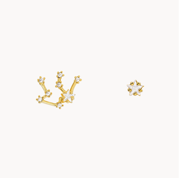 Secret Box Zodiac Earring