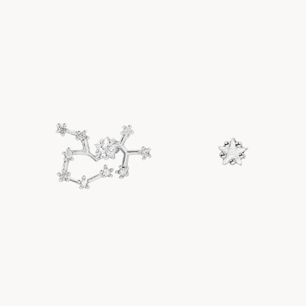 Secret Box Zodiac Earring