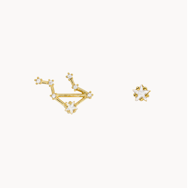 Secret Box Zodiac Earring