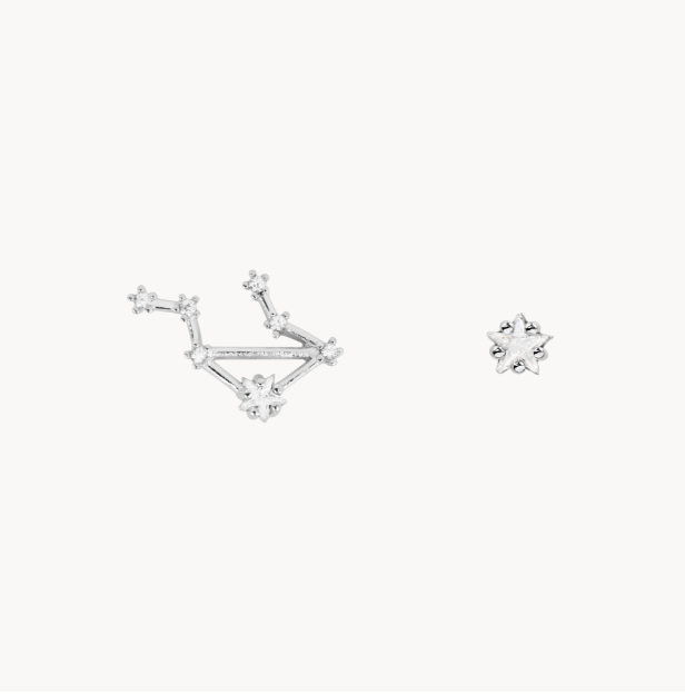 Secret Box Zodiac Earring