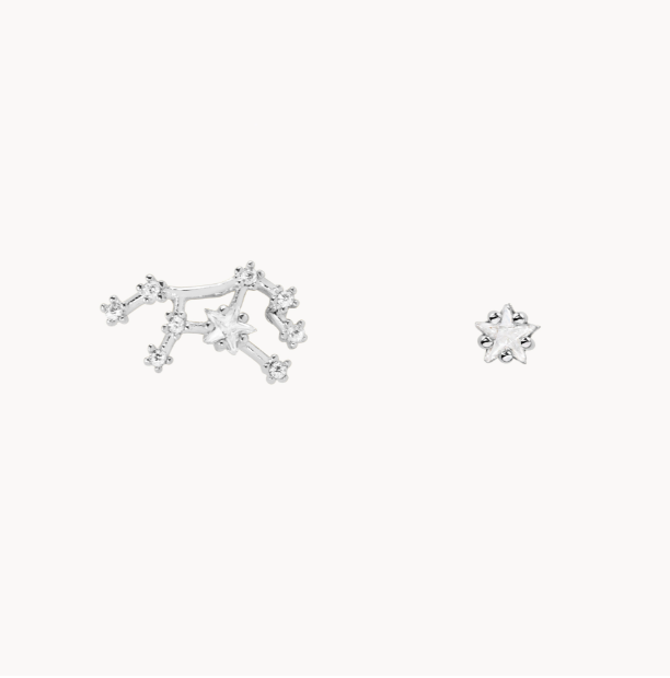 Secret Box Zodiac Earring