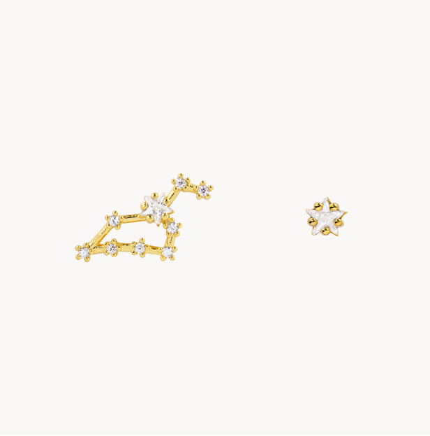 Secret Box Zodiac Earring