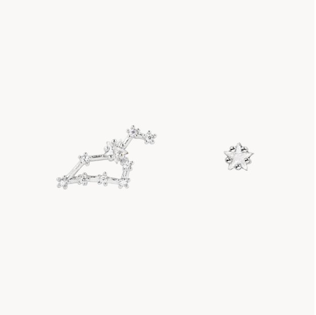 Secret Box Zodiac Earring