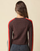 Olivaceous Contrast Sleeve Stripe Sweater in Coffee Multi, back view