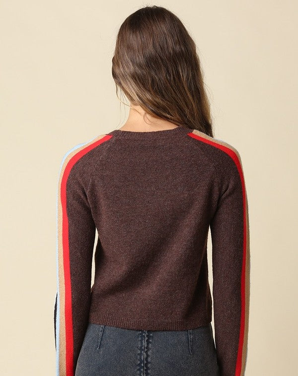 Olivaceous Contrast Sleeve Stripe Sweater in Coffee Multi, back view