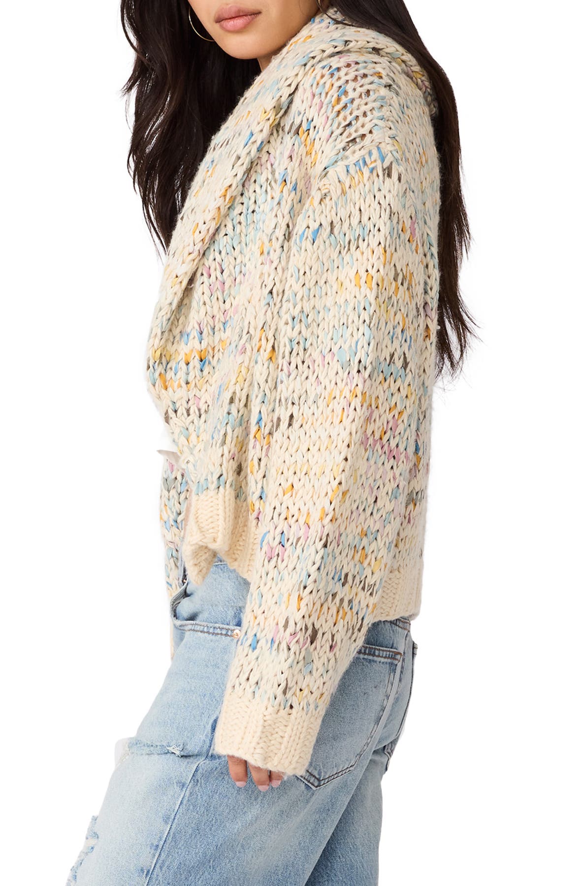 Steve Madden Enid Sweater in Multicolor, side view