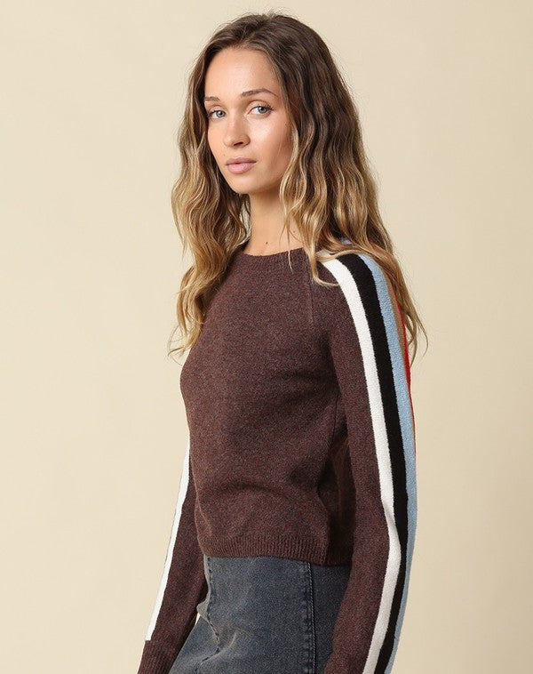 Olivaceous Contrast Sleeve Stripe Sweater in Coffee Multi, side view